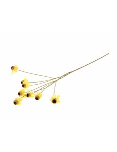 Κλαδί "Rudbeckia" κίτρινο...