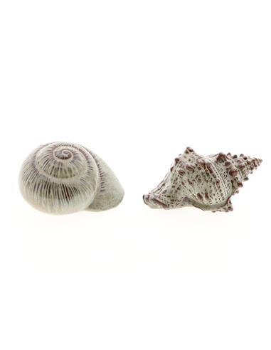 Κοχύλι καφέ 2σχέδια 18x11,5x19,5cm