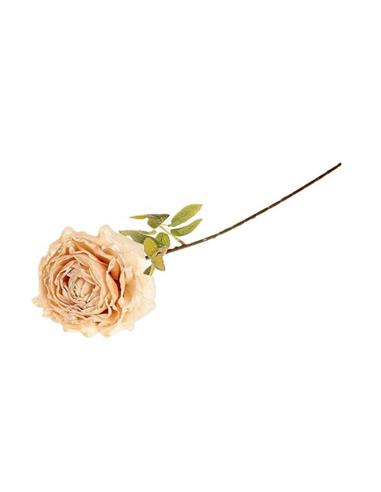 Κλαδί τριαντάφυλλο σομών Η65cm