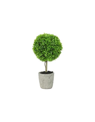 Πρασινάδα Buxus 40εκ.