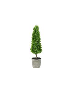 Πρασινάδα Buxus κώνος 76εκ.