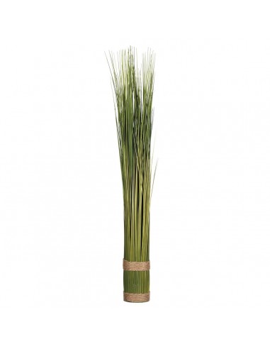 Χόρτο σε δέσμη Φ35Η79cm